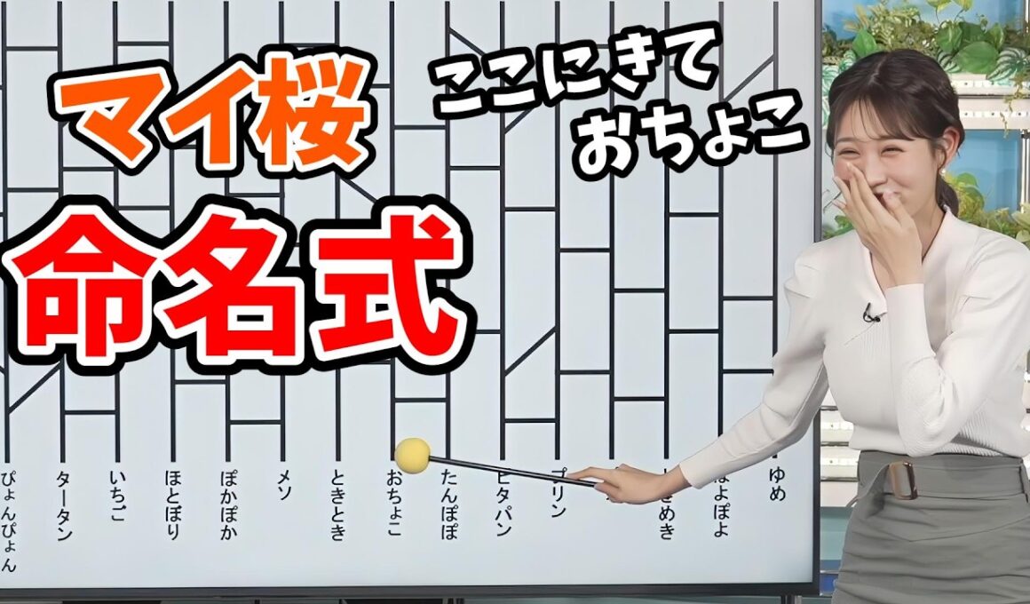 【戸北美月】あいりんに続き「あみだくじ」でマイ桜の名前を決めるみーちゃん【ウェザーニュース切り抜き】