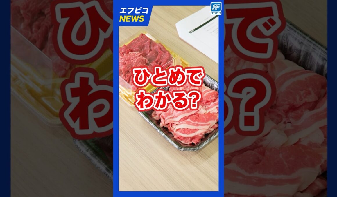 【新製品】お肉が勝手に高級感を纏う神容器の登場です✨＃林みなほ＃容器＃から揚げ容器＃エフピコTV