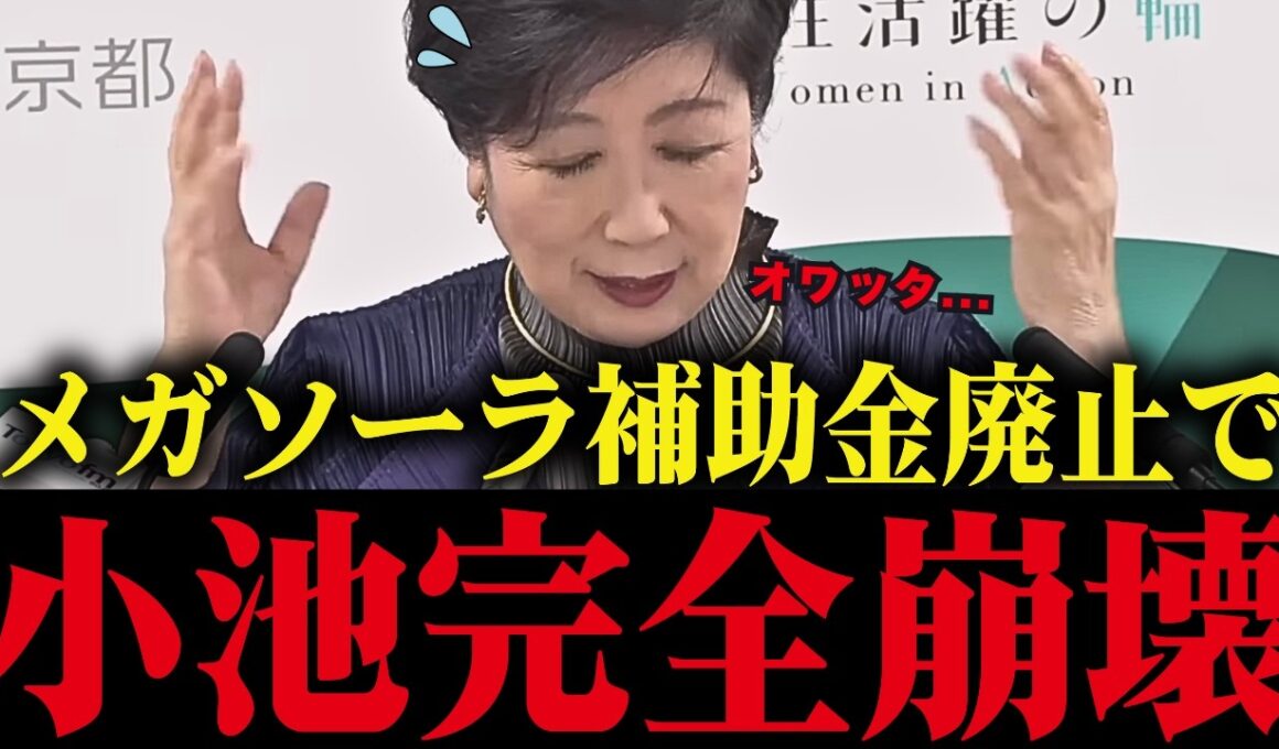 【小池百合子】※メガソーラー補助金廃止決定で小池完全終了！高市政権により小池の利権がズタボロに...【小池都知事 さとうさおり 学歴詐称疑惑】