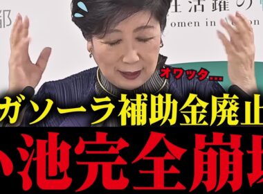 【小池百合子】※メガソーラー補助金廃止決定で小池完全終了！高市政権により小池の利権がズタボロに...【小池都知事 さとうさおり 学歴詐称疑惑】