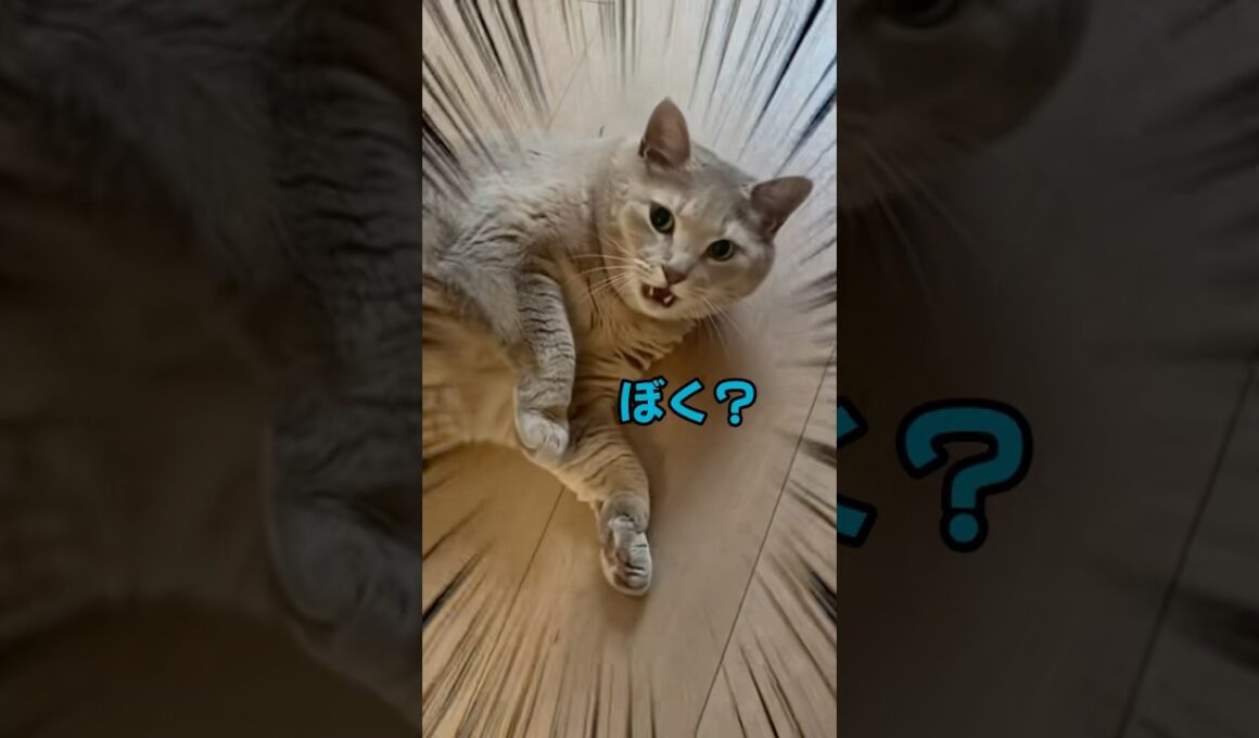 すぐに起き上がれないあさひ君