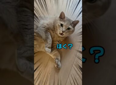 すぐに起き上がれないあさひ君