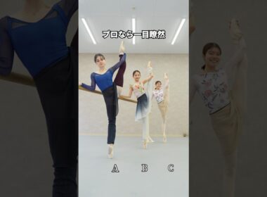 プロバレリーナになるには、バレエ歴は最低20年。