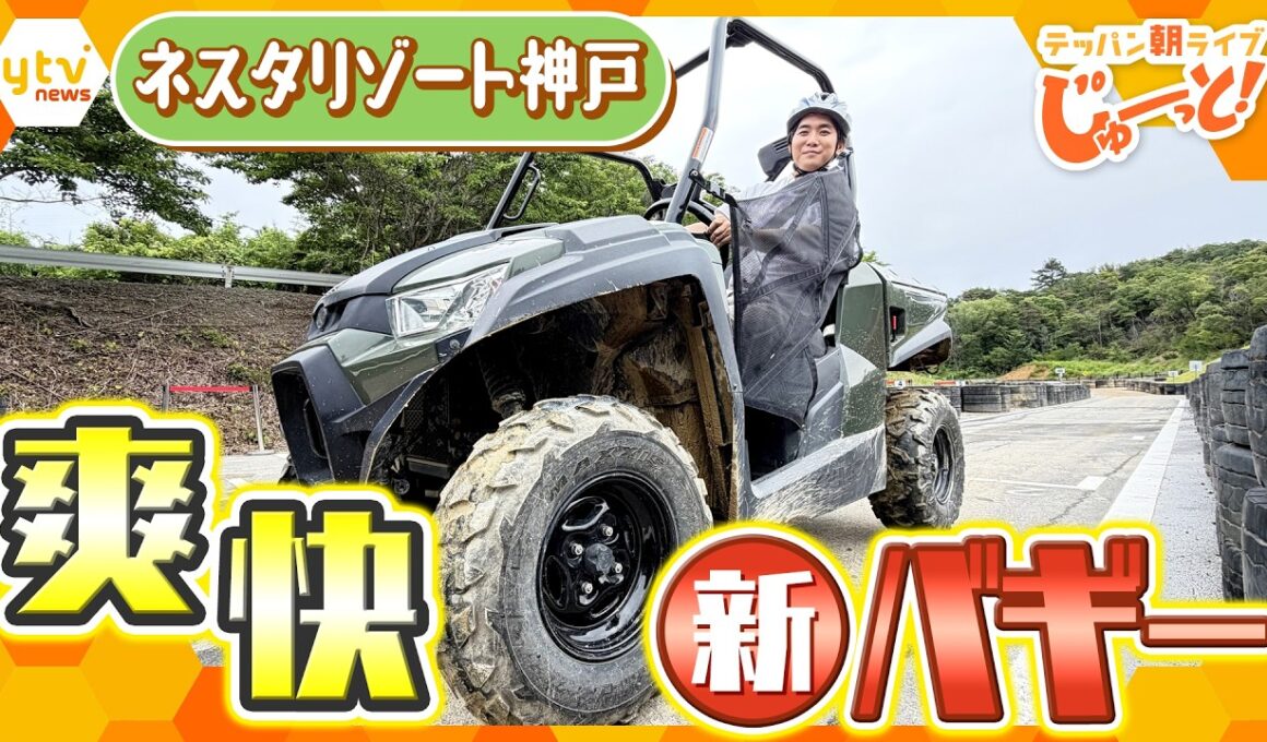 大自然を駆け抜けろ！開業10周年「ネスタリゾート神戸」の新アクティビティで爽快スリル体験！【テッパン朝ライブ じゅーっと！/じゅーっ特集！生中継】