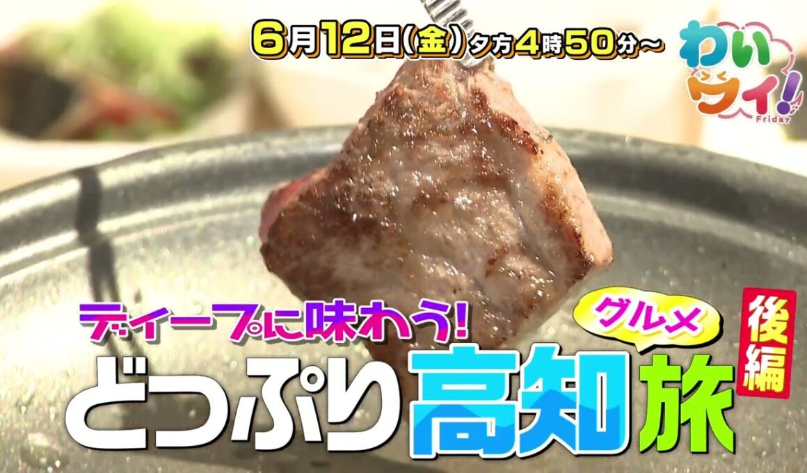 【番宣】どっぷり高知グルメ旅後編！絶景宿の豪華懐石＆名物麺に感動！▽[わいワイ! Friday] 2026/06/12（金）[後4:50から]!!