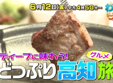 【番宣】どっぷり高知グルメ旅後編！絶景宿の豪華懐石＆名物麺に感動！▽[わいワイ! Friday] 2026/06/12（金）[後4:50から]!!