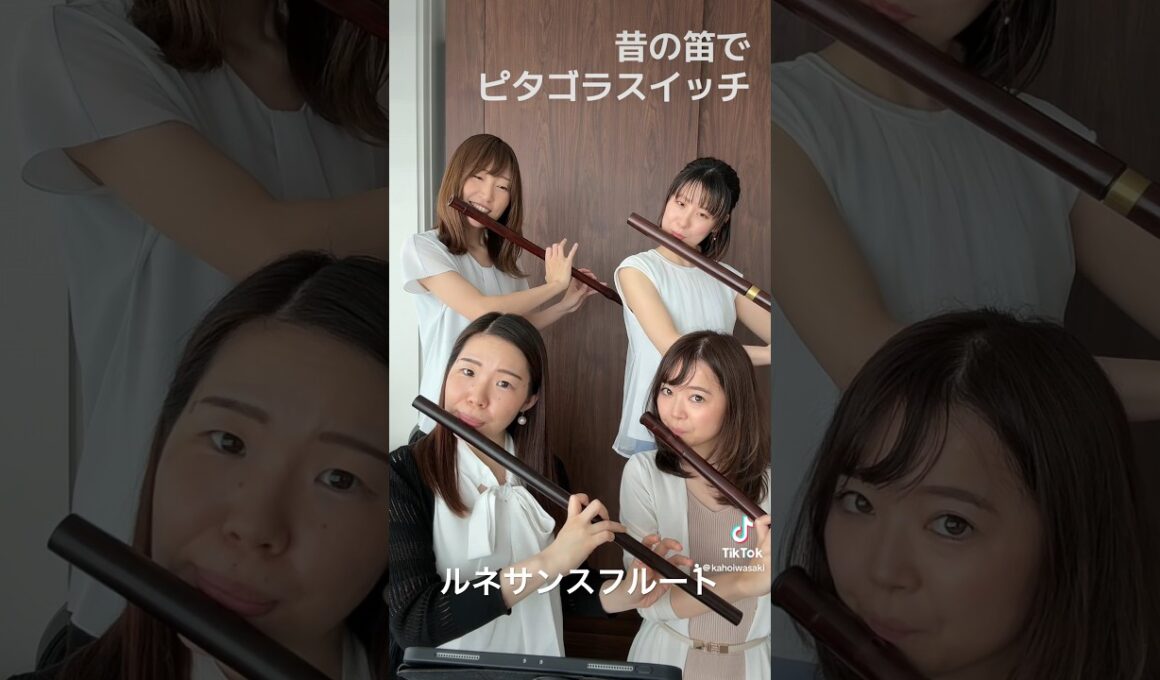 古のピタゴラスイッチ！ #フルート#吹奏楽#ピタゴラスイッチ