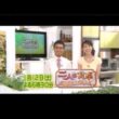 二人の食卓 番宣CM 市川寛子・八嶋智人・金石昭人・陣内貴美子