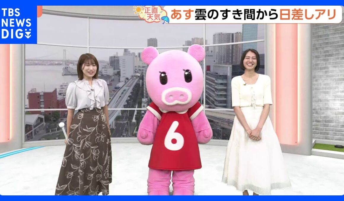 【6月11日 関東の天気】梅雨の合間にカミナリ注意｜TBS NEWS DIG