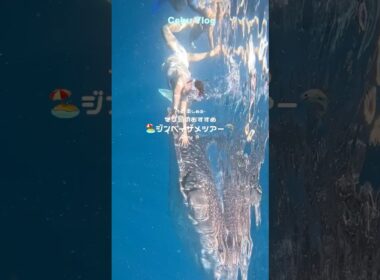 CPSのツアー🏝️ #セブ島 #セブ #旅行 #旅行vlog #ジンベイザメ #ツアー #vlog #海外旅行