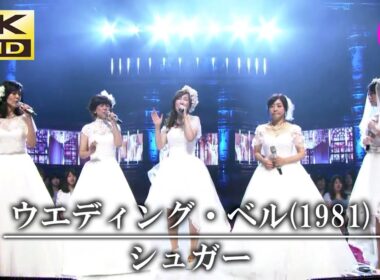 【4K UHD】松本伊代 ＆ 早見優 ＆ 松本明子 ＆ 森口博子 ＆ 峯岸みなみ（元AKB48） - ウエディング・ベル（ドラマ「恋する日曜日」主題歌, オリジナル：SUGAR）【JPOP】ラジオ