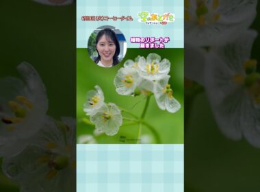 【空のあとがき】白井キャスターの気になるリポートは？ #通勤タイパ #白井ゆかり