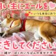 【孤独の56歳】    あと10年、あと15年、一緒に歩こう。