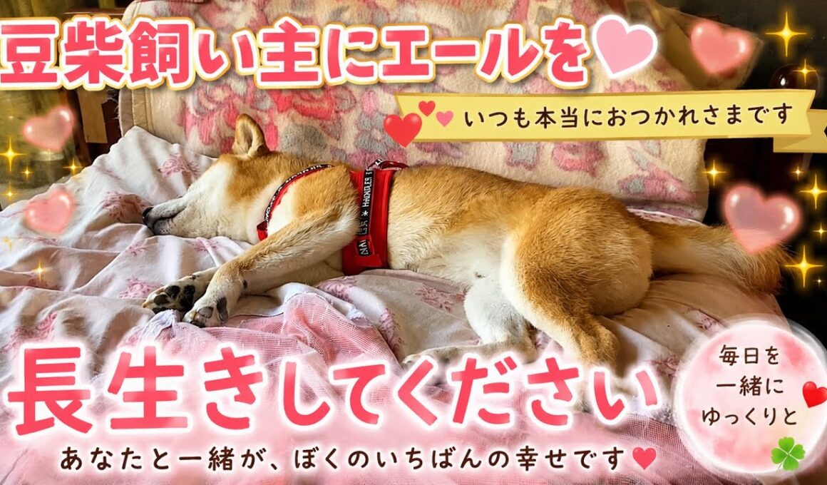 【孤独の56歳】    あと10年、あと15年、一緒に歩こう。
