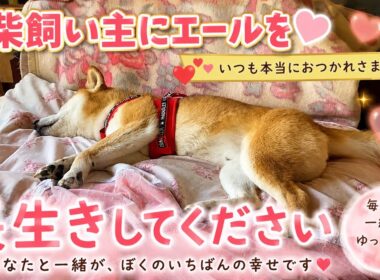 【孤独の56歳】    あと10年、あと15年、一緒に歩こう。