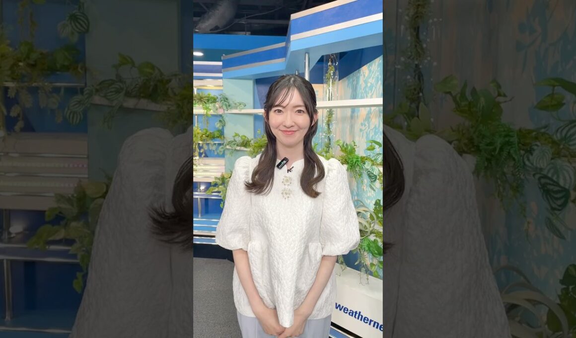 おはよう！6月11日 5:00  #通勤タイパ #おはよう