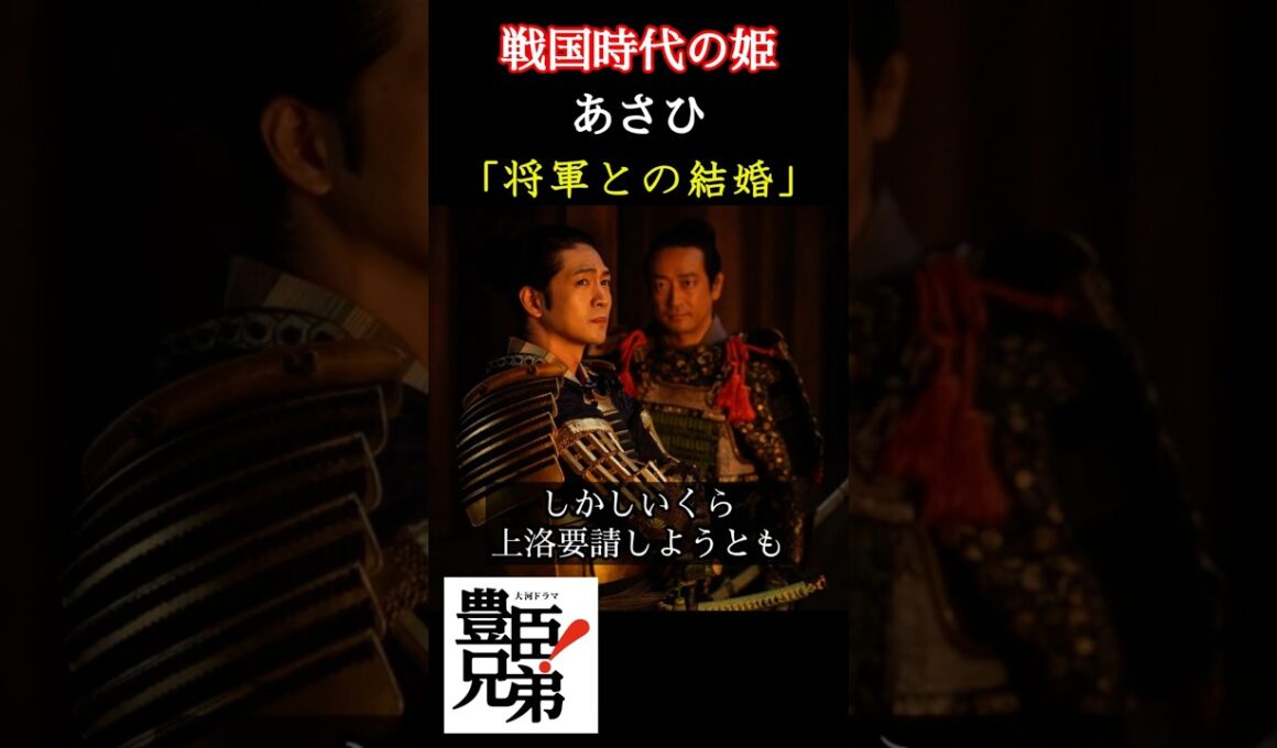 戦国時代の姫 あさひ 「豊臣兄弟！」で倉沢杏菜が演じるあさひは兄・秀吉の命で政略結婚のために夫と離縁させられる？ その相手がまさかの徳川家康とは！？ ＃豊臣兄弟 #大河ドラマ  #nhk