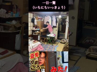 #くまころー飼い主#柴犬＃一日一驚