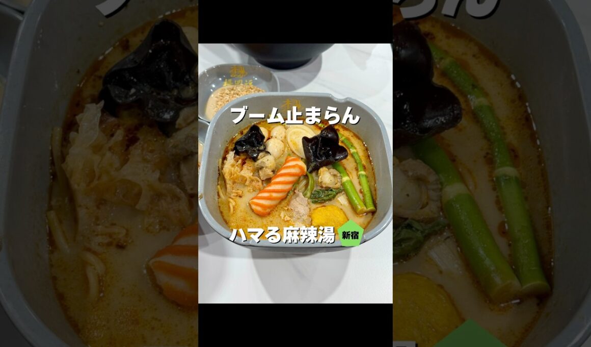 まだまだブーム止まんない麻辣湯！【新宿】楊國福マーラータン  #東京グルメ #shorts #japanesefood #新宿グルメ #新宿ランチ #麻辣湯