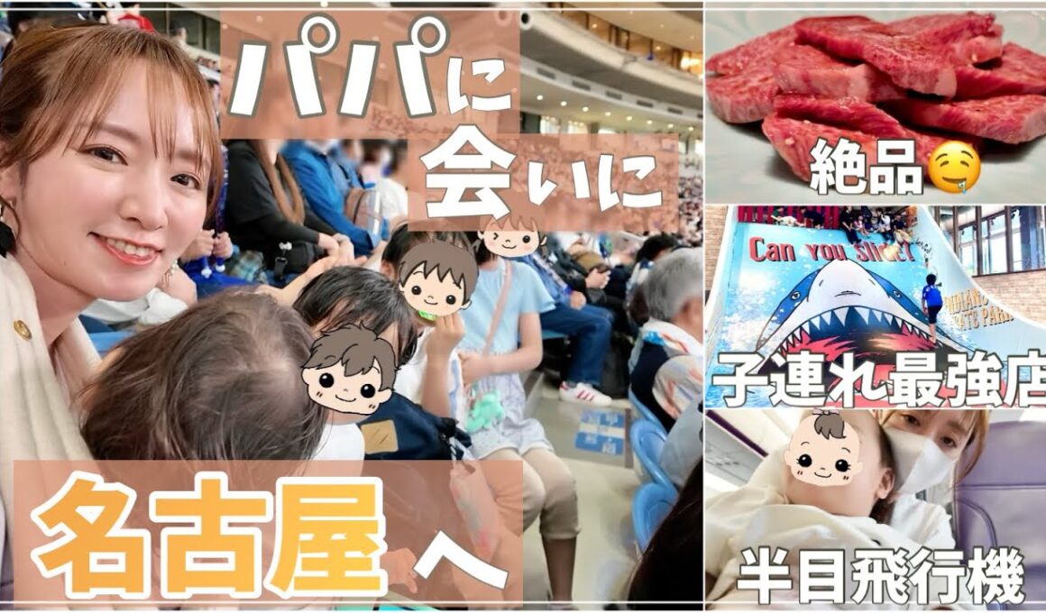 【子連れ旅行】パパに会いに行く！名古屋親子旅【飛行機・野球・巨大遊具】