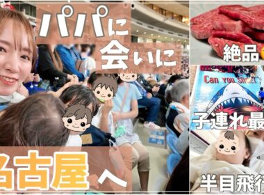 【子連れ旅行】パパに会いに行く！名古屋親子旅【飛行機・野球・巨大遊具】
