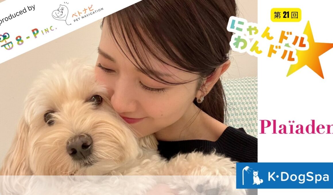 【三田友梨佳さんメインMC最終回‼️】ペットが主役の情報エンターテイメント番組『にゃんドル☆わんドル produced by 8-P & PETNAVI』第21回：4月24日放送分