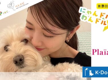 【三田友梨佳さんメインMC最終回‼️】ペットが主役の情報エンターテイメント番組『にゃんドル☆わんドル produced by 8-P & PETNAVI』第21回：4月24日放送分
