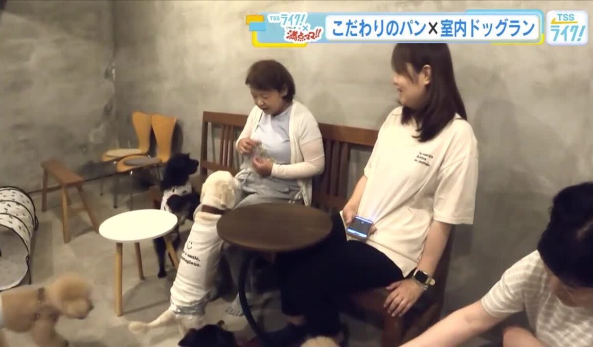 『こだわりパン屋』の中に『室内ドッグラン』！？　雨の日でも飼い主と愛犬がハッピーに　広島 (2026/06/15 17:52)