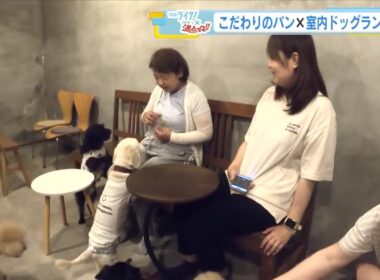 『こだわりパン屋』の中に『室内ドッグラン』！？　雨の日でも飼い主と愛犬がハッピーに　広島 (2026/06/15 17:52)