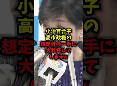 【逆転劇】小池百合子高市政権の想定外の一手に大発狂してしまうｗ#小池百合子 #高市総理 #メガソーラー #片山さつき #shorts