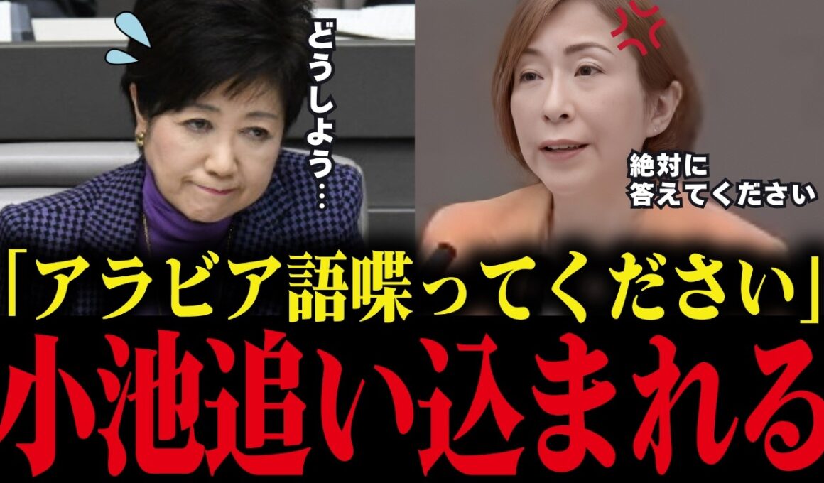 【小池百合子】議会でアラビア語を要求された結果、ボロが出て大恥をかくww学歴詐称確定じゃん...【小池都知事 さとうさおり カイロ大学】