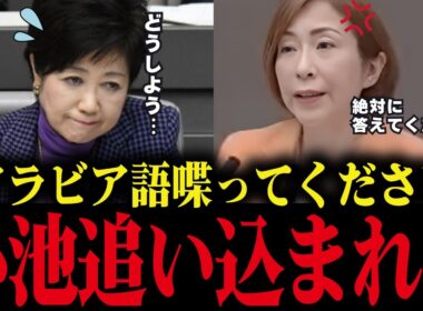 【小池百合子】議会でアラビア語を要求された結果、ボロが出て大恥をかくww学歴詐称確定じゃん...【小池都知事 さとうさおり カイロ大学】