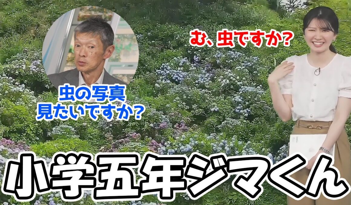 【駒木結衣】虫が苦手なのを知ったうえでおゆいに虫の写真を自慢してくるジマさんが小学生の心を持ちすぎてる件