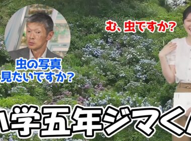 【駒木結衣】虫が苦手なのを知ったうえでおゆいに虫の写真を自慢してくるジマさんが小学生の心を持ちすぎてる件