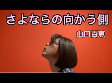 【歌ってみた】さよならの向かう側／山口百恵　cover柴犬飼い主