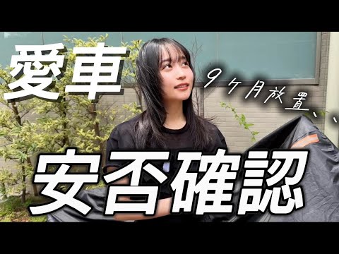 【緊急安否確認】9ヶ月放置したレブル250は動くのか！？
