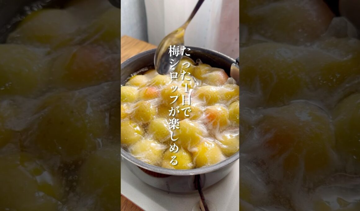 【たった1日で作る梅シロップ】梅の実ふっくら！蜂蜜の優しい味わい#簡単レシピ #梅シロップ #梅仕事 #蜂蜜