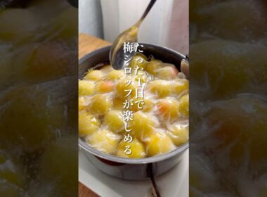 【たった1日で作る梅シロップ】梅の実ふっくら！蜂蜜の優しい味わい#簡単レシピ #梅シロップ #梅仕事 #蜂蜜