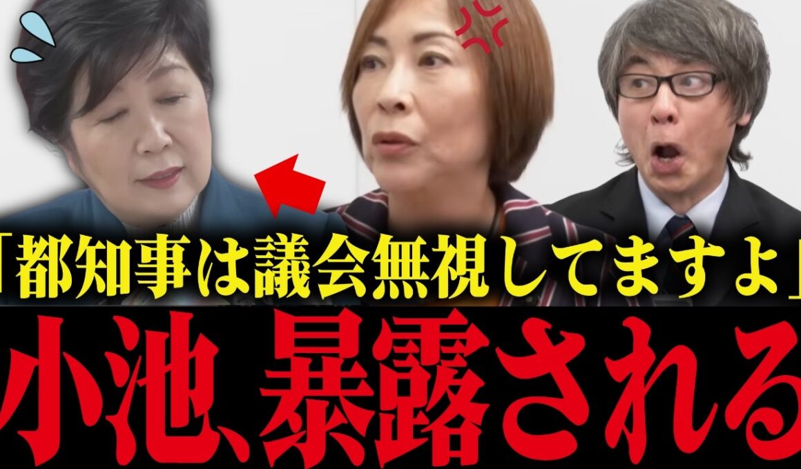 ※小池百合子の元側近議員の都政の暴露で会場が凍りつく...司会者が絶句する小池の独裁政治とは？【小池都知事 さとうさおり 学歴詐称疑惑 カイロ大学】