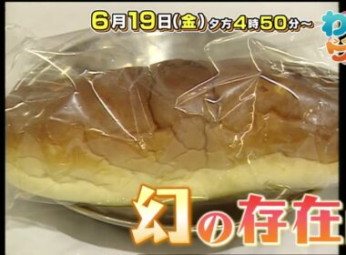 【番宣】給食の定番「みかんパン」消えた衝撃の理由とは!?＆オーイシマサヨシ母校ライブに感動！▽わいワイ! Friday 2026/06/19（金）午後4:50〜!!
