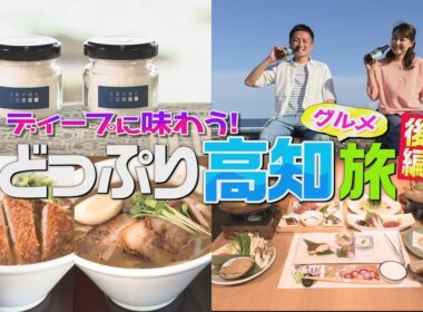 【どっぷり高知グルメ旅（後編）】《贅沢づくし》懐石料理！《お土産》塩づくり体験！《インパクト大》道の駅グルメ！《特産レモン》クラフトビール！～「幡多エリア」を味わい尽くす旅へ～