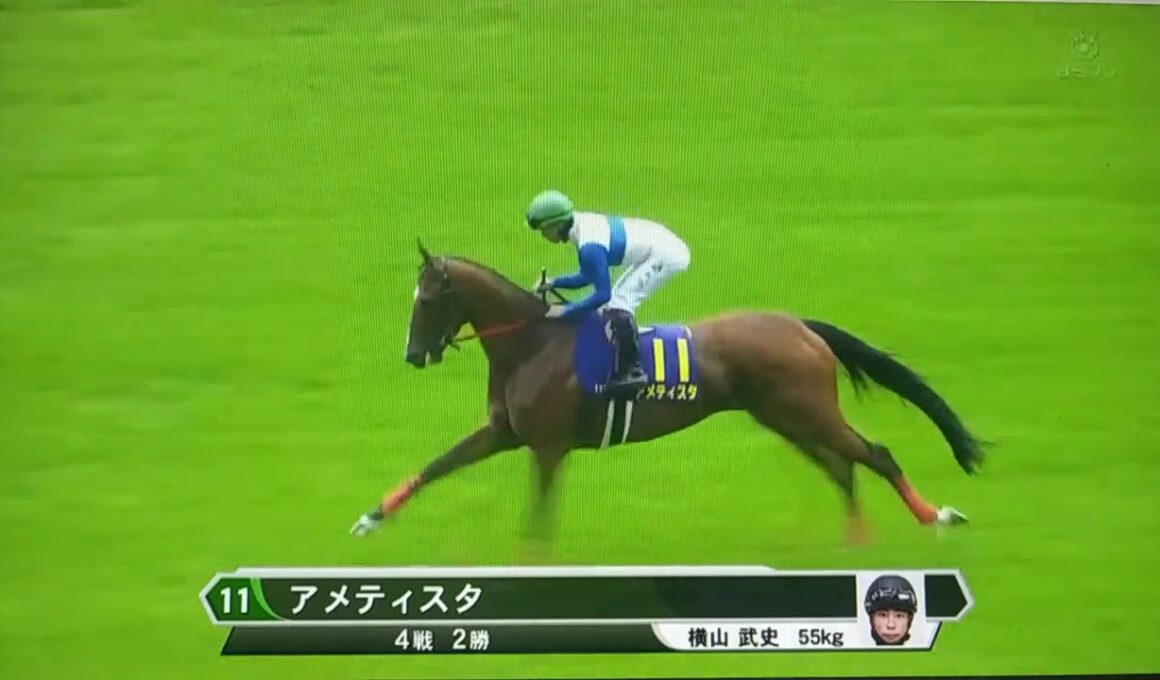 竹俣紅アナによる第８７回オークス出走馬紹介