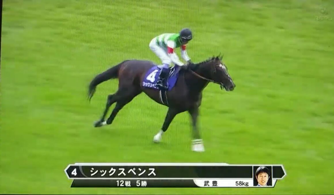 竹俣紅アナによる第７６回安田記念出走馬紹介