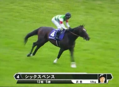 竹俣紅アナによる第７６回安田記念出走馬紹介