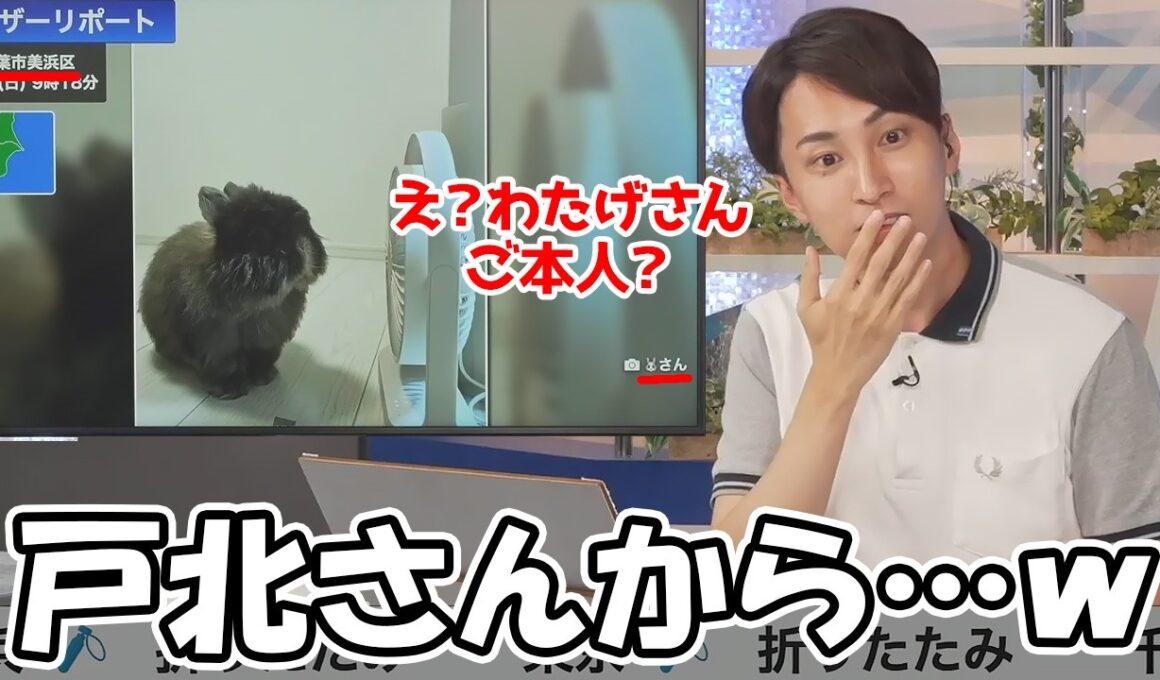 【福吉貴文・戸北美月】噂のオールバックなわたげさんのリポートがみーちゃんから届きました