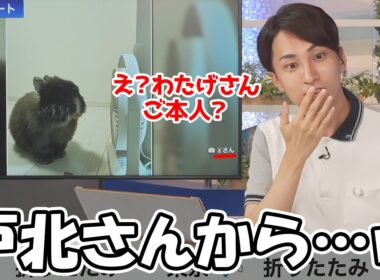 【福吉貴文・戸北美月】噂のオールバックなわたげさんのリポートがみーちゃんから届きました