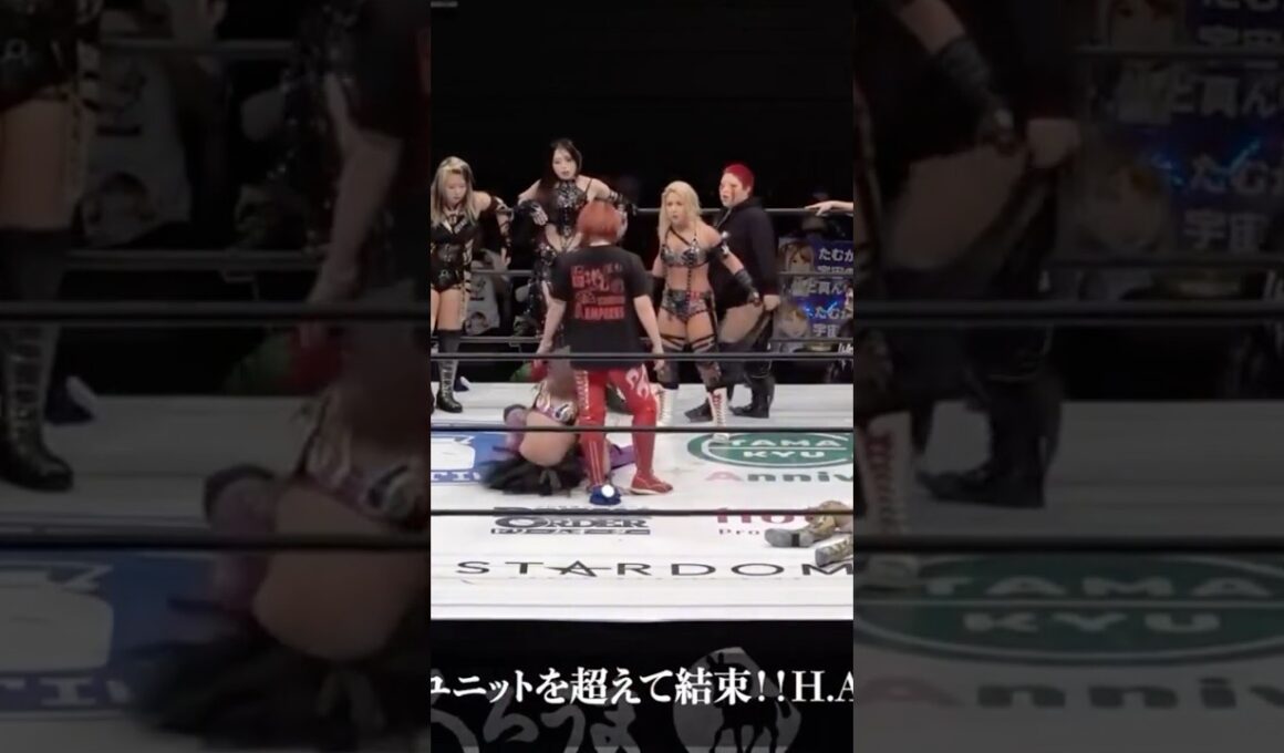 "私達正義が勝つ"ユニットを超えて結成！H.A.T.E.殲滅を誓う！#prowrestling #wrestling #stardom #スターダム #女子プロレス