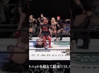 "私達正義が勝つ"ユニットを超えて結成！H.A.T.E.殲滅を誓う！#prowrestling #wrestling #stardom #スターダム #女子プロレス
