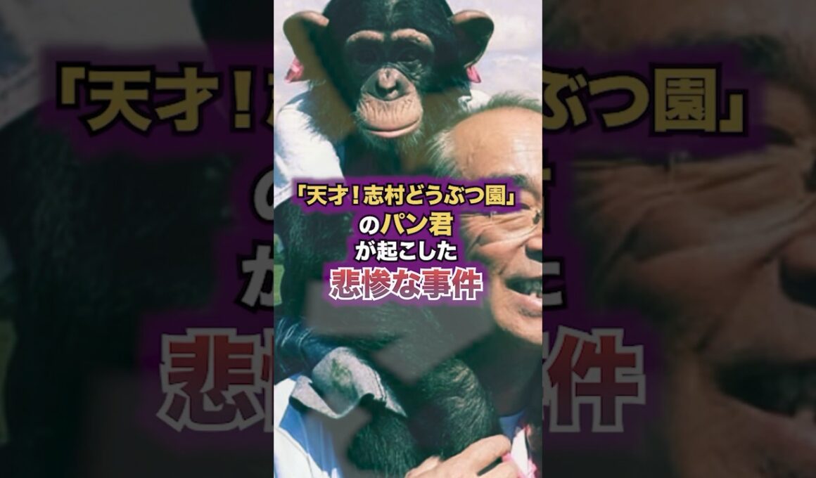 「天才！志村どうぶつ園」のパン君が起こした悲惨な事件