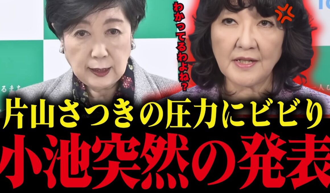 ※片山さつきに追い詰められた小池百合子、都議会でとんでもない発表をする【小池都知事 さとうさおり カイロ大学 学歴詐称疑惑】
